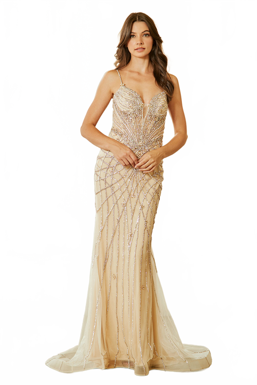 Mermaid Evening Gown with Spaghetti Straps & Illusion V-Neck Formal Dress by Amelia Couture 2135
