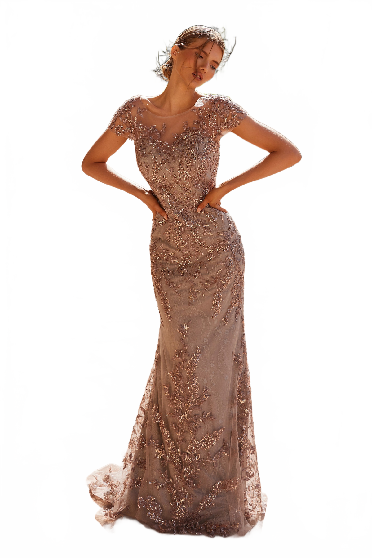 Nox Anabel MT110 Stunning Appliqué Short Sleeve Gown