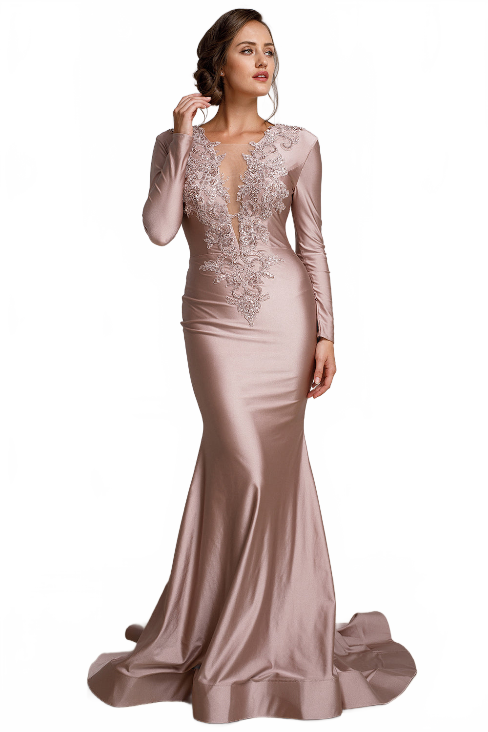 Elegant Long Sleeve Fitted Evening Gown with Deep V-Neck & Embroidered Appliqué By Amelia Couture 382