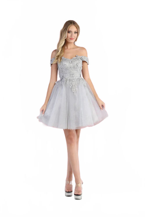 Dama Dresses for Quinceanera in Silver Style MQ1964 Quince Outfit
