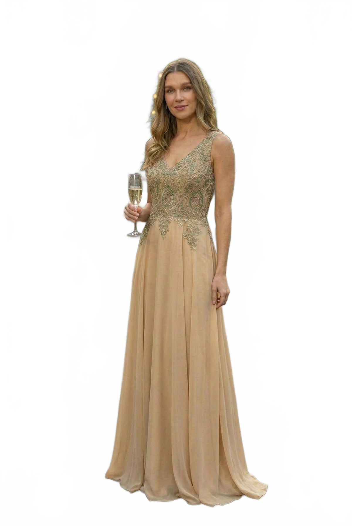 Embroidered Chiffon Dress by Elizabeth K GL2311