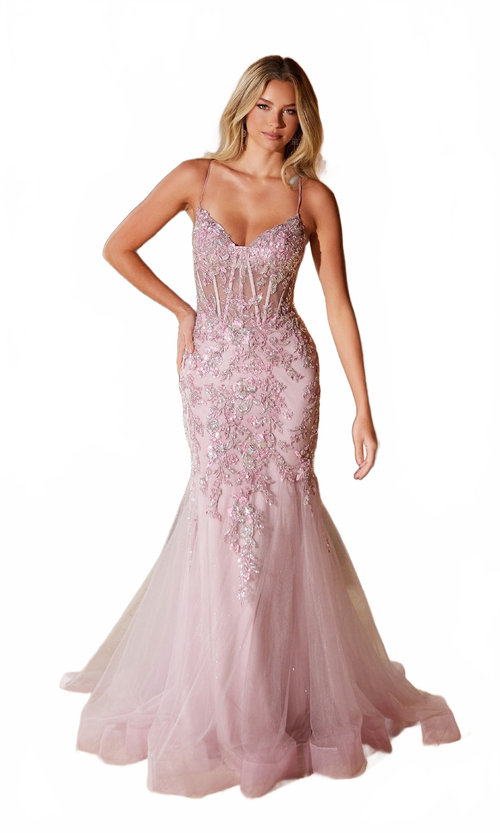 Nox Anabel Q1541 Long Prom Dress with Embroidery