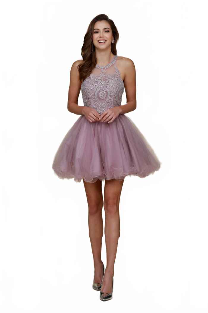 Nox Anabel B652 Light-Mauve Dama Dresses for Quinceanera Outfit