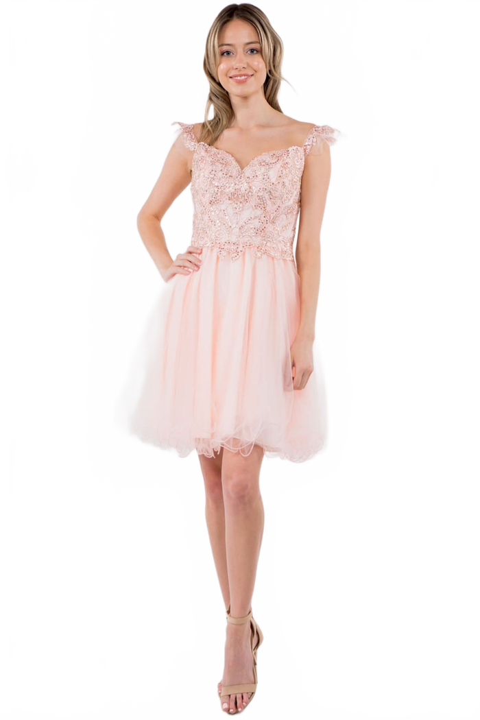 Embroidered Short Ruffled Dress by Elizabeth KGS1966
