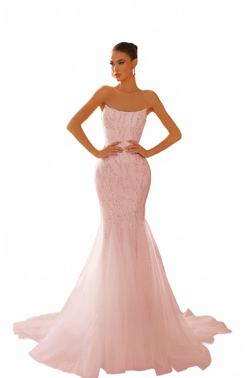 Tina Holly TK807 Prom Strapless Beaded Train Flowy Evening Lace Mesh Dress