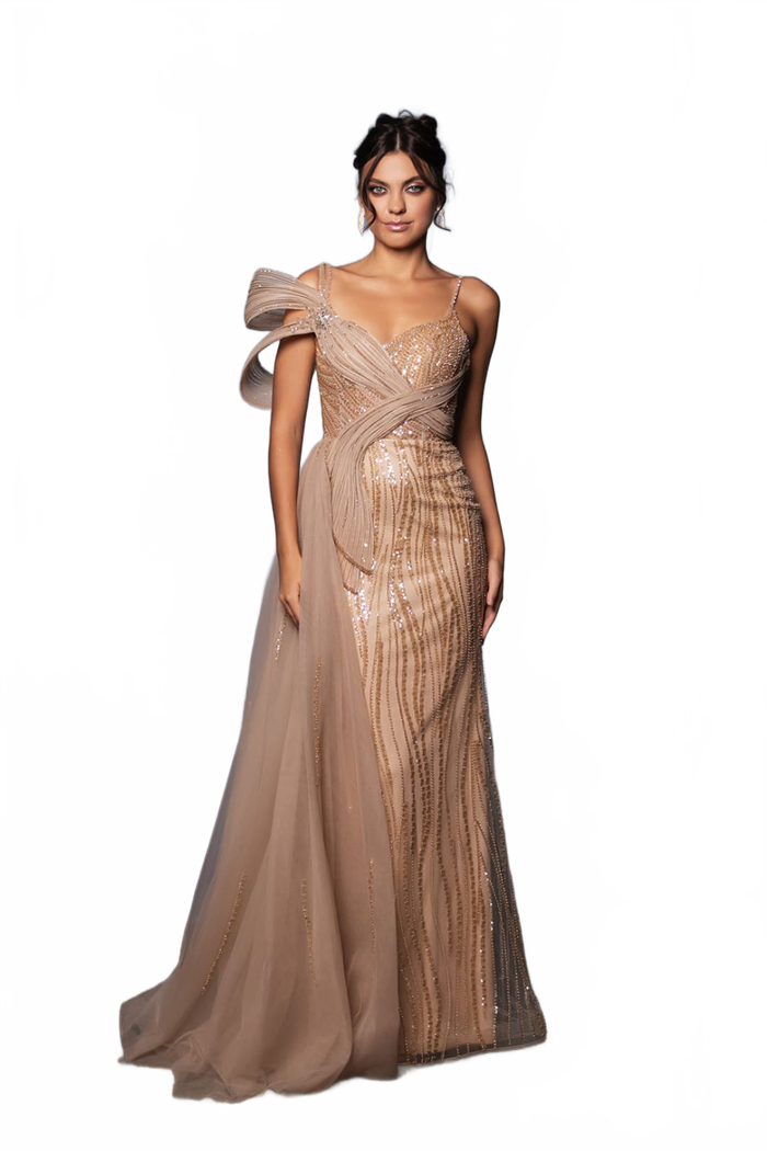 Long Plus Size Prom Dress A-Line Evening Gown By Royal Queen RQ8175B