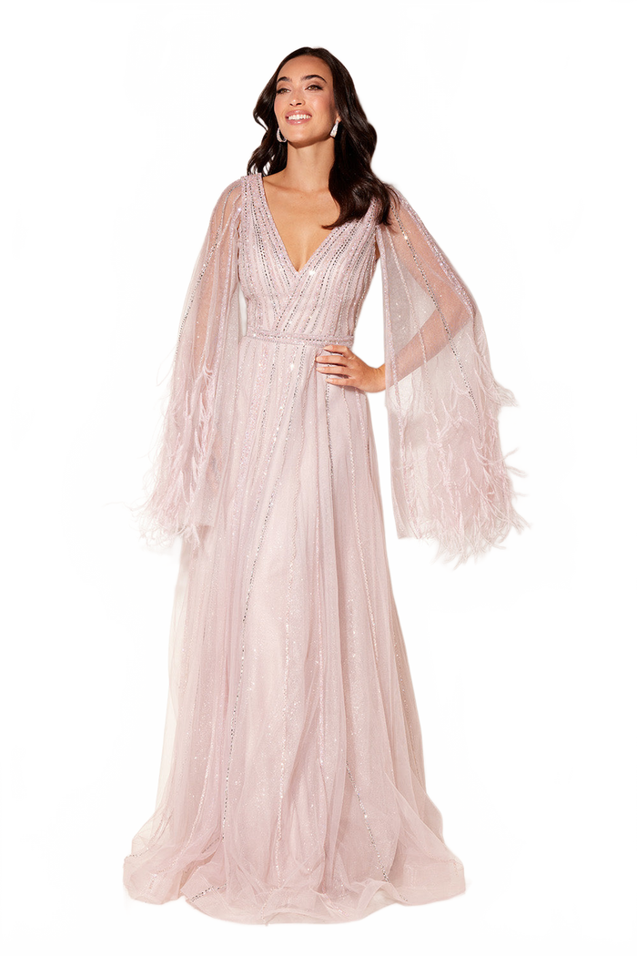 Feather Cape Sleeve A-line Gown by Lucci Lu C8118