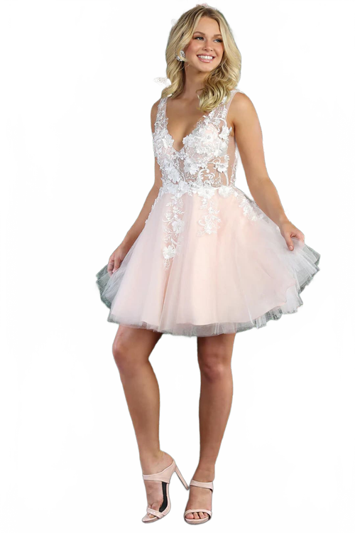 Dama Dresses for Quinceanera in Blush Style MQ1863 Quince Outfit