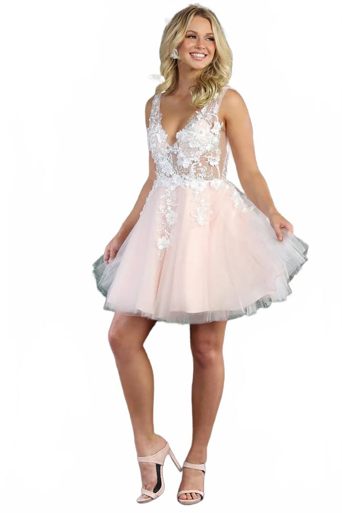 Dama Dresses for Quinceanera in Blush Style MQ1863 Quince Outfit