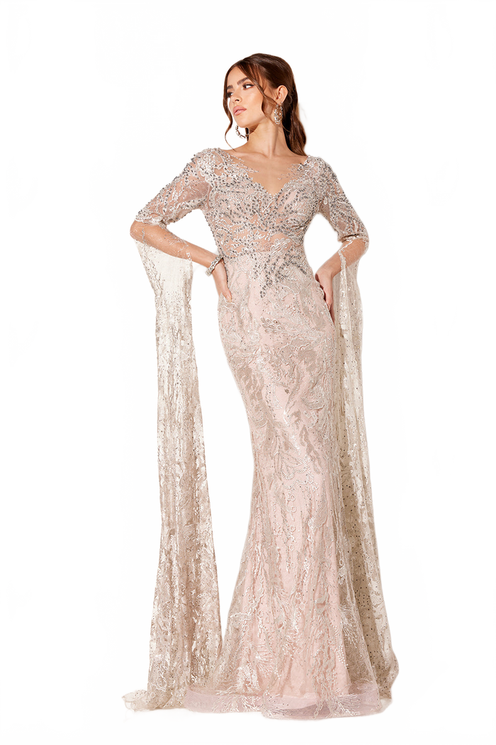 Applique Fitted Long Sleeve Gown by Lucci Lu C8073