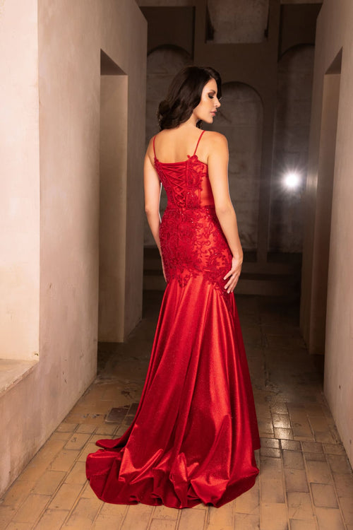 Pageant Dress V-Neck Sleeveless Mermaid Gown By May Queen MQ2123
