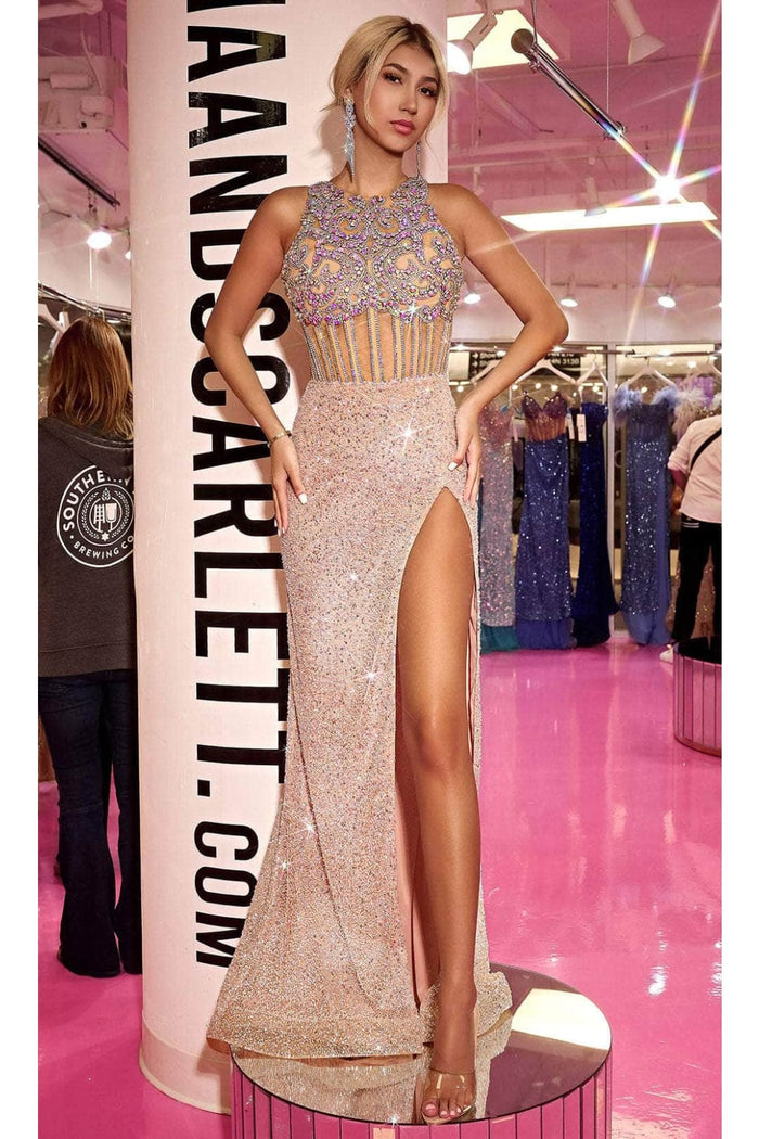 Portia and Scarlett PS24879C -long- Embellished Evening Dress with Jewel Neckline
