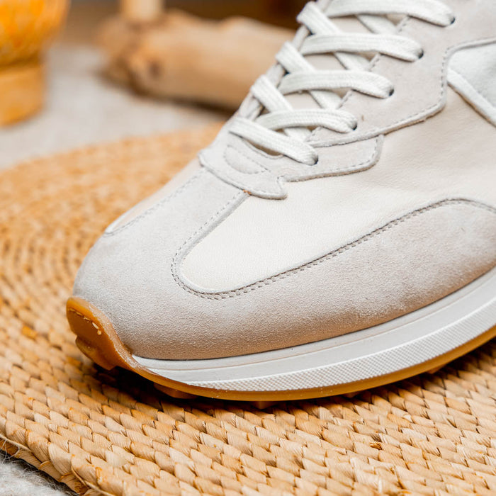 Zelli Roxi Luxury Sneaker in Taupe Suede and Smooth Calfskin