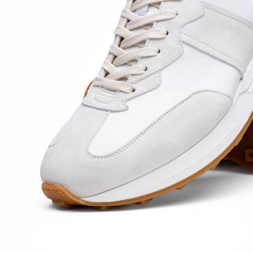 Zelli Roxi Italian Suede and Calfskin Luxury Sneaker in White