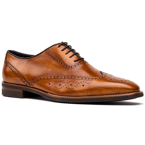 Zelli Stephano Wingtip Oxfords with Brogue Detailing in Camel
