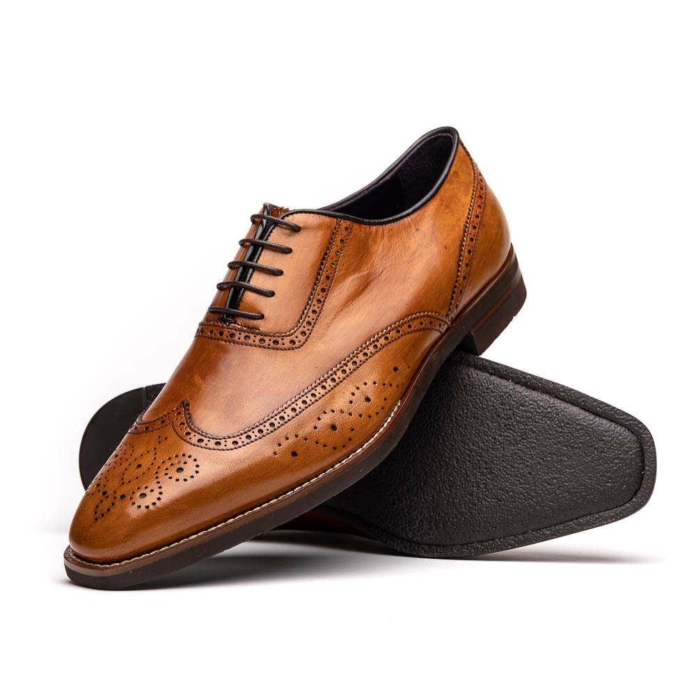 Zelli Stephano Wingtip Oxfords with Brogue Detailing in Camel