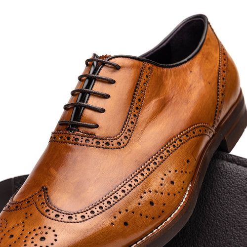 Zelli Stephano Wingtip Oxfords with Brogue Detailing in Camel