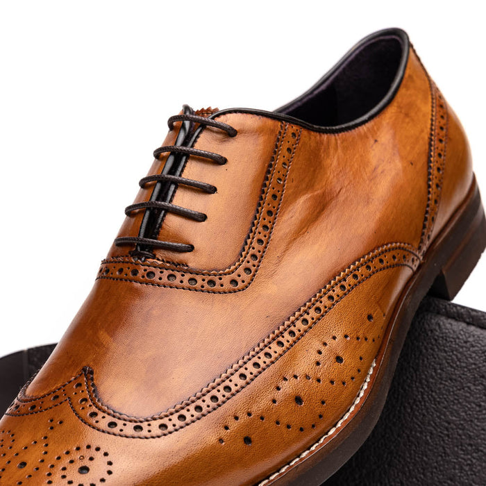 Zelli Stephano Wingtip Oxfords with Brogue Detailing in Camel