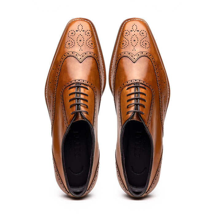 Zelli Stephano Wingtip Oxfords with Brogue Detailing in Camel