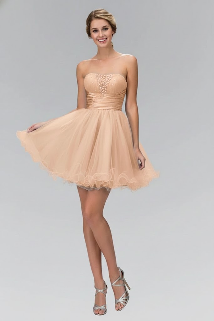 Strapless Ruffled Tulle Dress by Elizabeth K GS1051