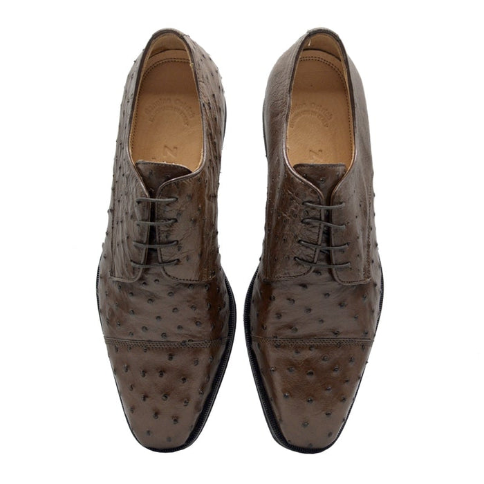 Zelli Andrea Genuine Ostrich Cap Toe Derby Dress Shoes in Brown