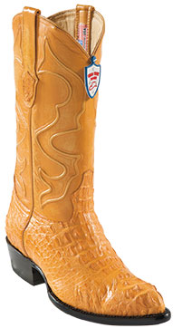 Wild West Buttercup J-Toe cai ~ Alligator skin Hornback Cowboy Boots 