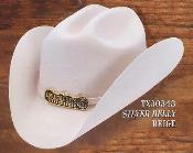  Cowboy Hat Duranguense Style 10X Felt