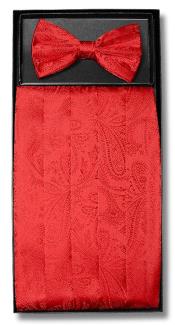   Mens Red Paisley Pattern Polyester