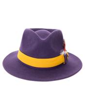  Mens Hat in Purple and Gold
